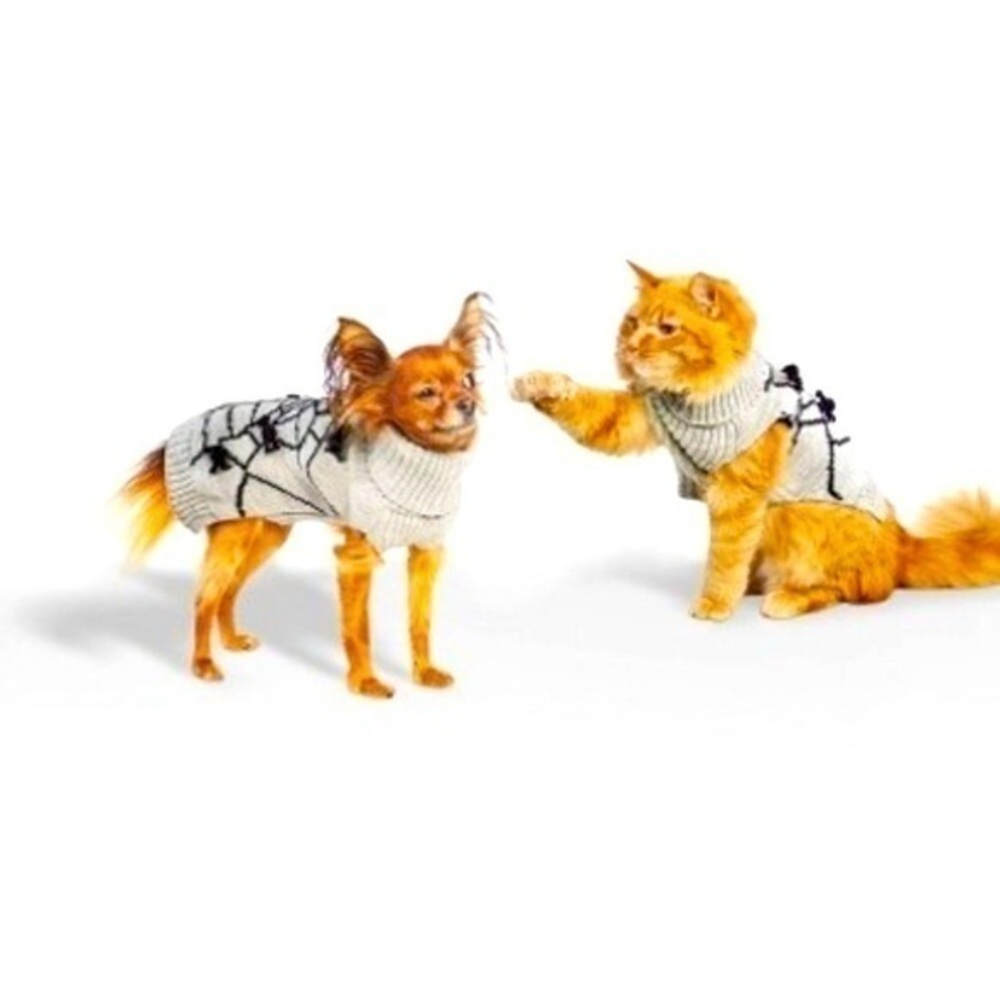 NEW Spiderweb Pet Sweater Dog Outfit Turtleneck small Halloween spider